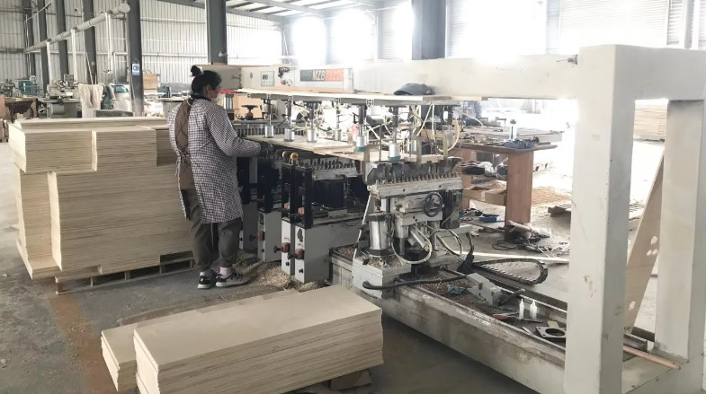 Qingdao Vitalucks Trade Co., Ltd. línea de producción de fábrica