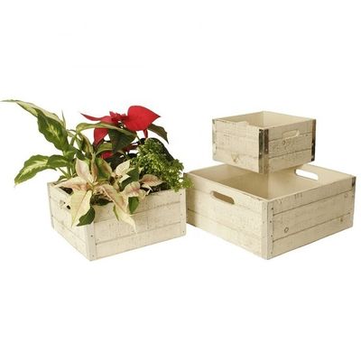 Cajas de manzanas de madera sin terminar para artesanías Conjunto de 3 cajas de impresión de forma personalizada