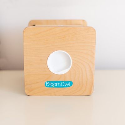 Banco de monedas personalizado de madera para niños OEM ODM Material de bambú ecológico aceptado