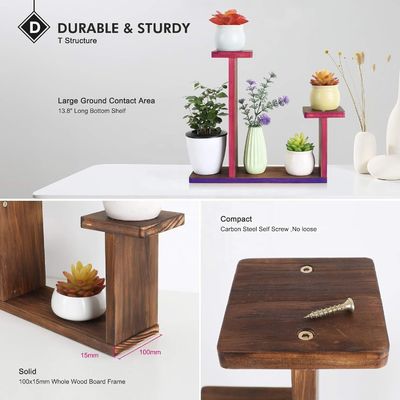 Estante de exhibición de la sala de estar para hierbas suculentas Cuadrado Estante de flores ambientales