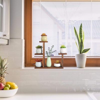 Estante de exhibición de la sala de estar para hierbas suculentas Cuadrado Estante de flores ambientales