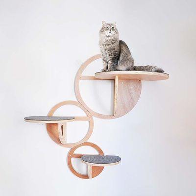 Estantes para gatos montados en la pared de madera Conjunto de 3 casas de gatos sostenibles para gatos de contrachapado de pino