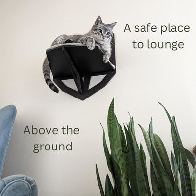 Función Ahorrar espacio Estante para gatos montado en la pared con estanterías Perchas y cama colgante