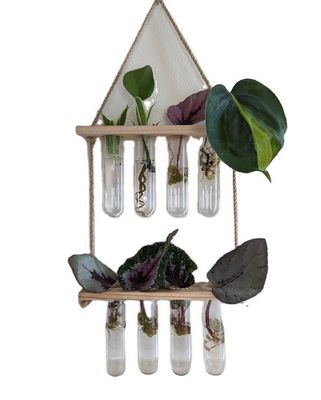 202407 Estación de multiplicación de plantas para plantas de cultivo en jarrón de hidroponía OEM Estación de arranque