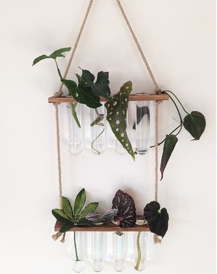 202407 Estación de multiplicación de plantas para plantas de cultivo en jarrón de hidroponía OEM Estación de arranque