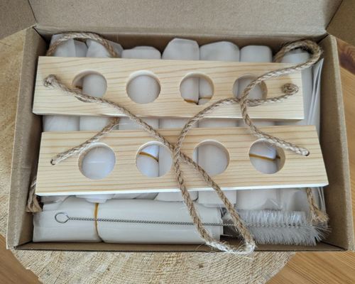 202407 Estación de multiplicación de plantas para plantas de cultivo en jarrón de hidroponía OEM Estación de arranque