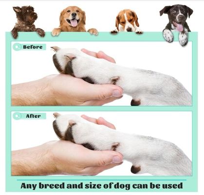 Ahorrar tiempo y espacio 202407 tablero de raspadoras para perros para uñas