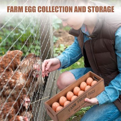 Caja rústica de huevos de madera para 12 huevos frescos