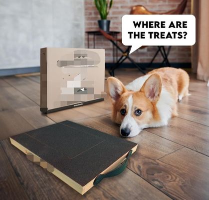 OEM Pad de rascado para perros con caja de golosinas tabla de rascado para uñas para perros con mango tabla de rascado para gatos