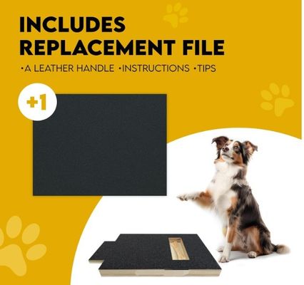 OEM Pad de rascado para perros con caja de golosinas tabla de rascado para uñas para perros con mango tabla de rascado para gatos