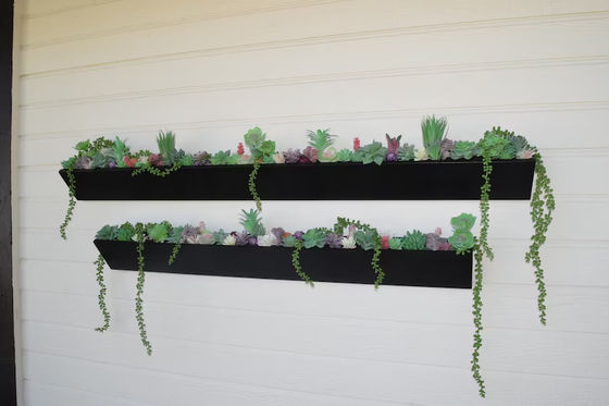 Planta de pared de madera larga cuadrada para exhibición de suculentas modernas en jardines interiores al aire libre