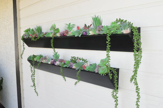 Planta de pared de madera larga cuadrada para exhibición de suculentas modernas en jardines interiores al aire libre