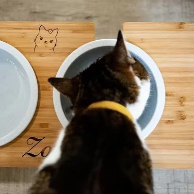 15 grados de inclinación Stand Pet Bowl Impresión de madera personalizada con láser Gravar dos cuencos extraíbles