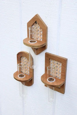 Planta de pared colgante Boho Hydro Planta de pared con impresión en serigrafía / quemada