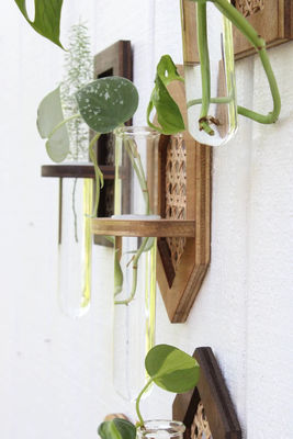 Planta de pared colgante Boho Hydro Planta de pared con impresión en serigrafía / quemada