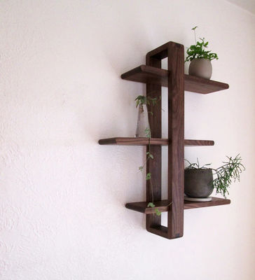 Decoración de paredes de madera maciza hecha a mano de mediados de siglo moderna de tres capas para plantas colgantes Libros de arte Fotos