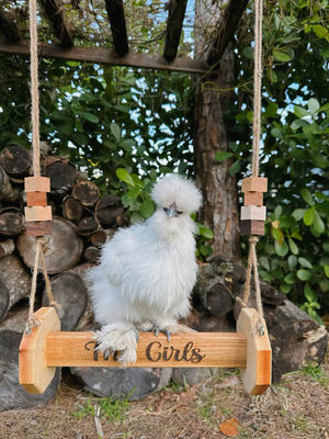 Juguetes de pollo Percha de gato montada en la pared adecuada para gatos y animales