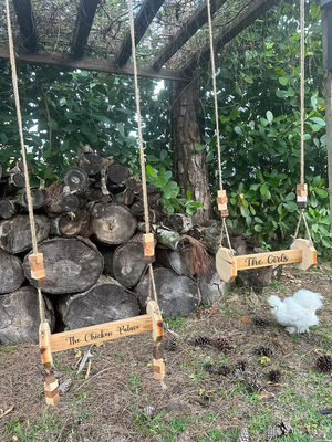 Juguetes de pollo Percha de gato montada en la pared adecuada para gatos y animales