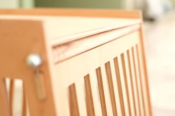 Casa de perros y gatos de madera de color natural en el interior Caja con puerta en blanco