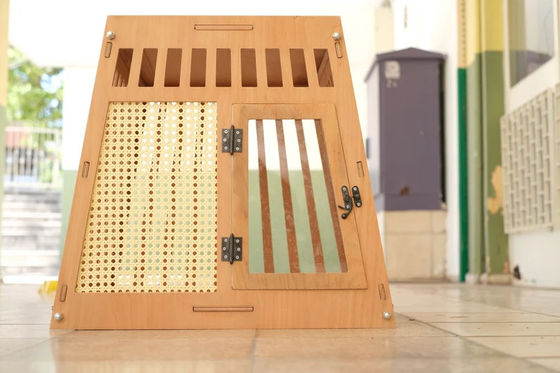 Casa de perros y gatos de madera de color natural en el interior Caja con puerta en blanco