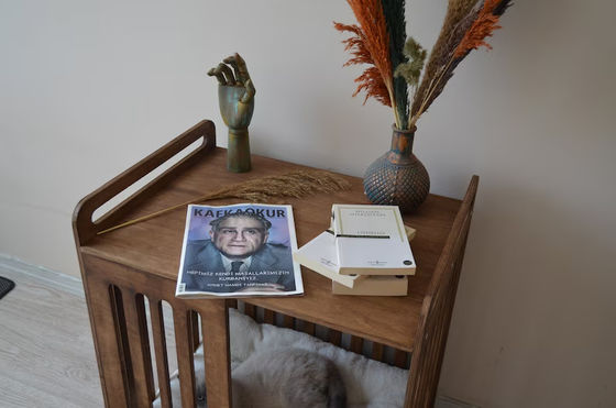 Cabina interior debe tener ahorrar espacio con la demolición de lujo Muebles de caja de perro de madera