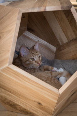 Contenedor de almacenamiento para el hogar Cueva de cama de gato de diseño moderno con madera sólida y mesa lateral