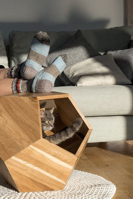 Contenedor de almacenamiento para el hogar Cueva de cama de gato de diseño moderno con madera sólida y mesa lateral