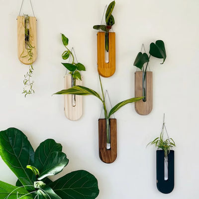 Estación de propagación de estilo de diseño moderno para plantación de paredes de madera y decoración del hogar