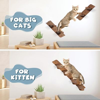 Di adiós a los pisos desordenados Estante de alimentación para gatos con escalera y 2 cuencos