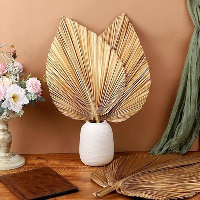 Logotipo de Vitalucks Ecológico Compostable a mano 4 Pcs Oro natural de gran tamaño Hojas de palma secas