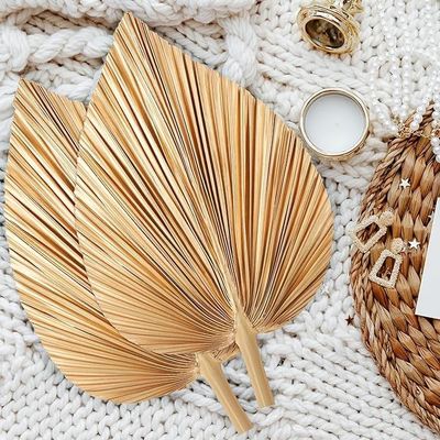 Logotipo de Vitalucks Ecológico Compostable a mano 4 Pcs Oro natural de gran tamaño Hojas de palma secas