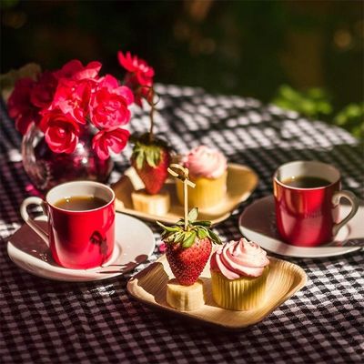 Placa de bambú de hoja de palma para una fiesta desechable