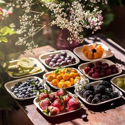 Placa de bambú de hoja de palma para una fiesta desechable