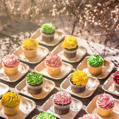 Placa de bambú de hoja de palma para una fiesta desechable