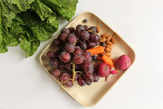 Conjunto de 10 piezas de platos de hojas de palma para la cena de boda platos desechables redondos y cuadrados