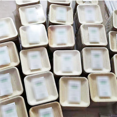 Conjunto de 10 piezas de platos de hojas de palma para la cena de boda platos desechables redondos y cuadrados