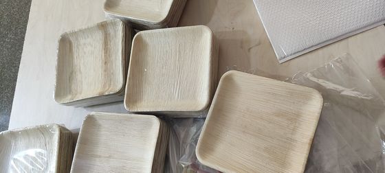 Eco-amigable 20 paquetes de placas de hojas de palma biodegradables 10 pulgadas cuadradas resistentes como el bambú desechable elegante