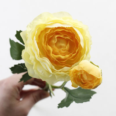 35cm de tamaño real Paeonia Lactiflora Flores artificiales La adición perfecta para cualquier evento