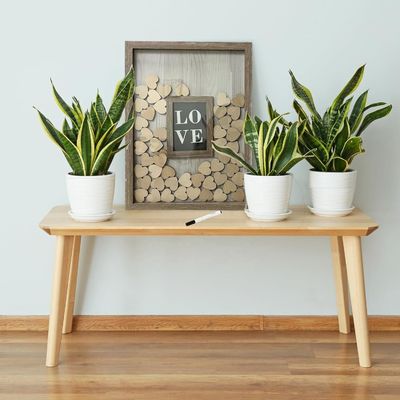 Decoración de boda romántica de madera y vidrio marco de copa a medida con inserción de foto grande