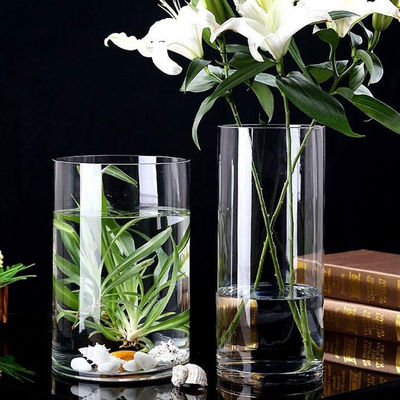 Vaso de vidrio minimalista de 60 cm de altura La combinación perfecta de estilo y función