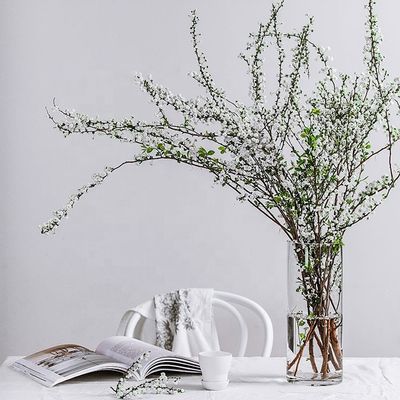 Vaso de vidrio grande y transparente para decoración en todas las estaciones de año