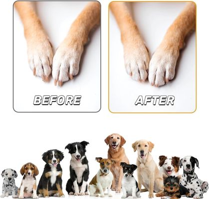 Accesorios de cuidado de uñas para perros de madera para el hogar con caja de bocadillos Muestra gratuita