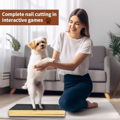 Pad de rasguño para gatos y perros con tapa extraíble y archivo de uñas ajustable en ángulo diferente