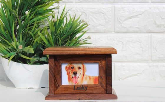 Cajas para mascotas Urnas Caja de recuerdos de madera para guardar con amor las cenizas de un perro o gato querido