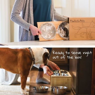 Mediano Perro Stand de cuenco elevado 7 Cuencos elevados Alimentador para mascotas con cuatro cuencos de acero inoxidable