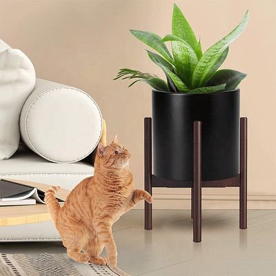 Planta de madera de bambú ajustable para el peso de soporte alto extensible en interiores y exteriores